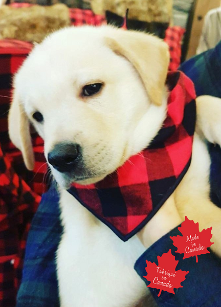 Pet Bandana Large Red/Black Buffalo Check