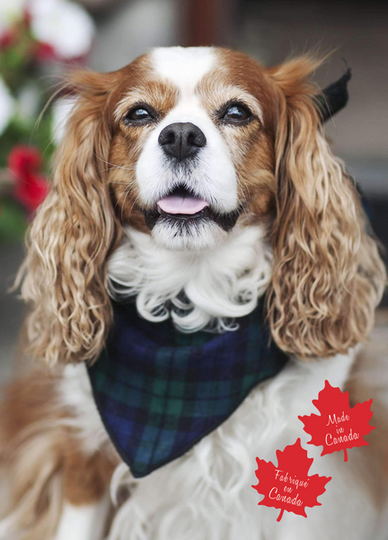 Pet Bandana in Black Watch Tartan