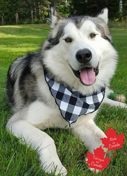 Pet Bandana / Large Black/White Buffalo Check